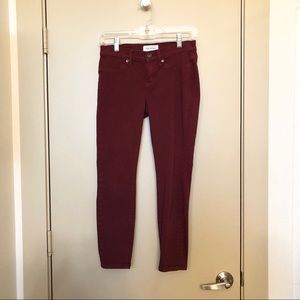 LILA RYAN Stitch Fix Liza Colored Skinny Jean 25P